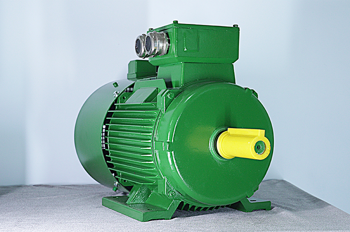 YVF2系列變頻調(diào)速三相異步電動機(jī)